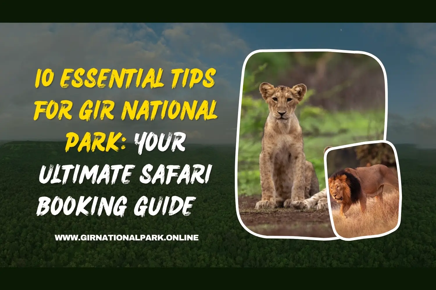 Gir National Park Travel Tips