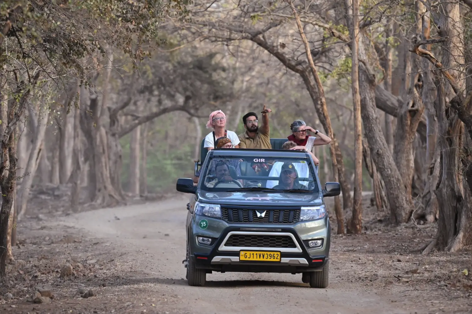Jeep Safari in Gir National Park