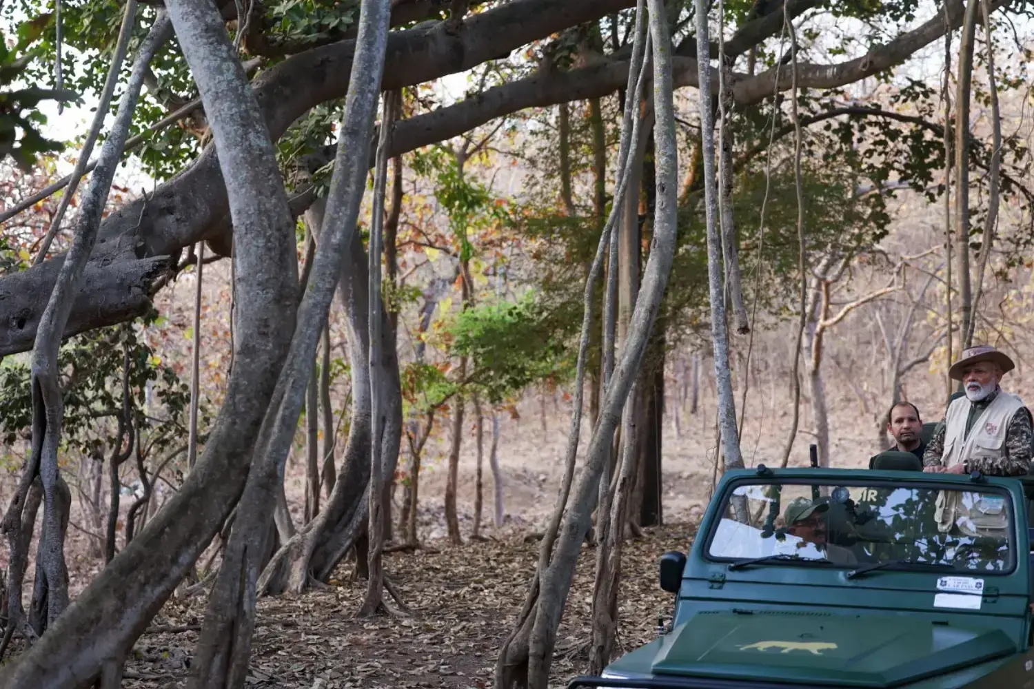 Jeep Safari in Gir National Park
