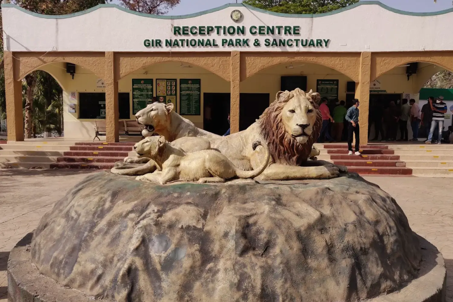 Jeep Safari in Gir National Park